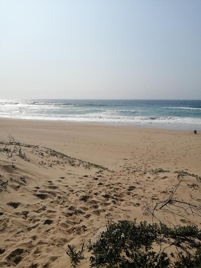 Dromedaris 1 Appartamento Amanzimtoti Esterno foto